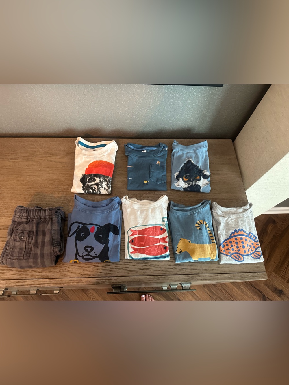Tea Collection Boys Graphic Tee Lot - Blue, Gray, White, Navy, Orange